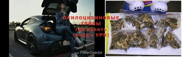 героин Алексин