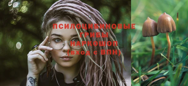 MESCALINE Абинск