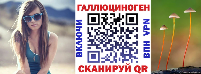 Галлюциногенные грибы Psilocybine cubensis  Людиново 