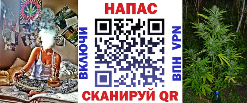 hydra   Людиново  Бошки Шишки сатива 